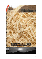 obaluayê mestre da calunga.pdf